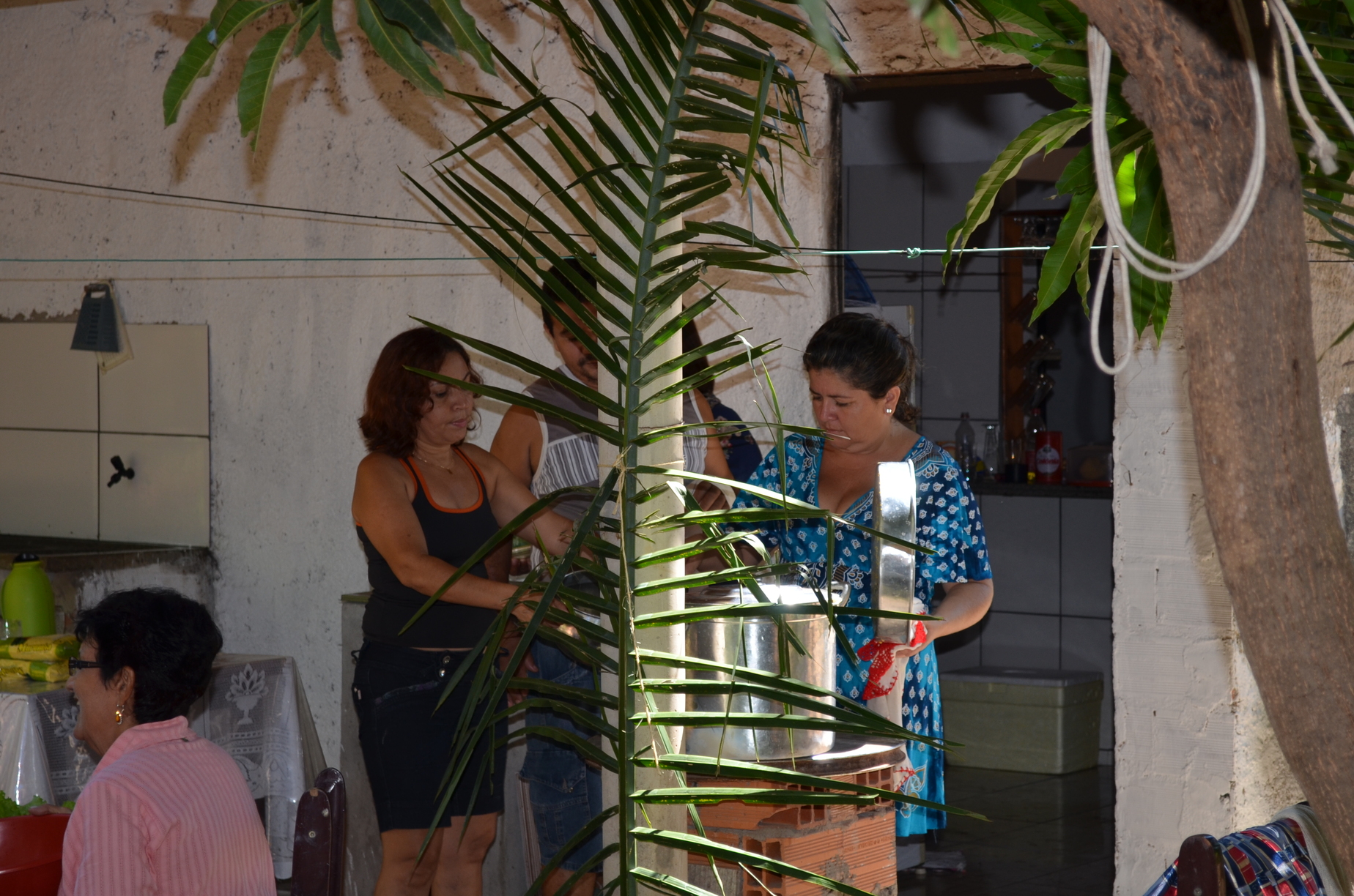 40 anos Lins 187.jpg