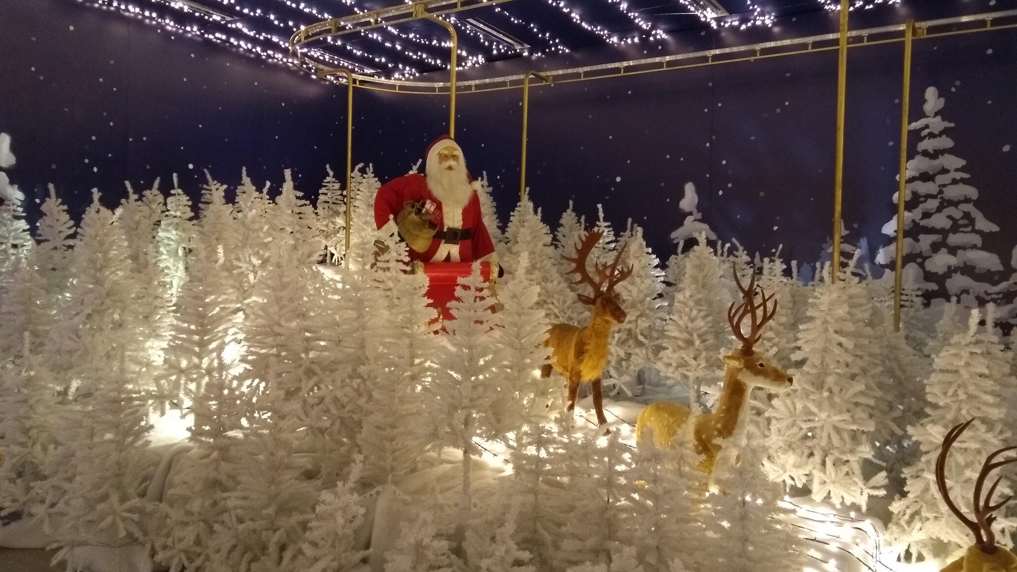 IMG_20191113_184000732 (Copy).jpg