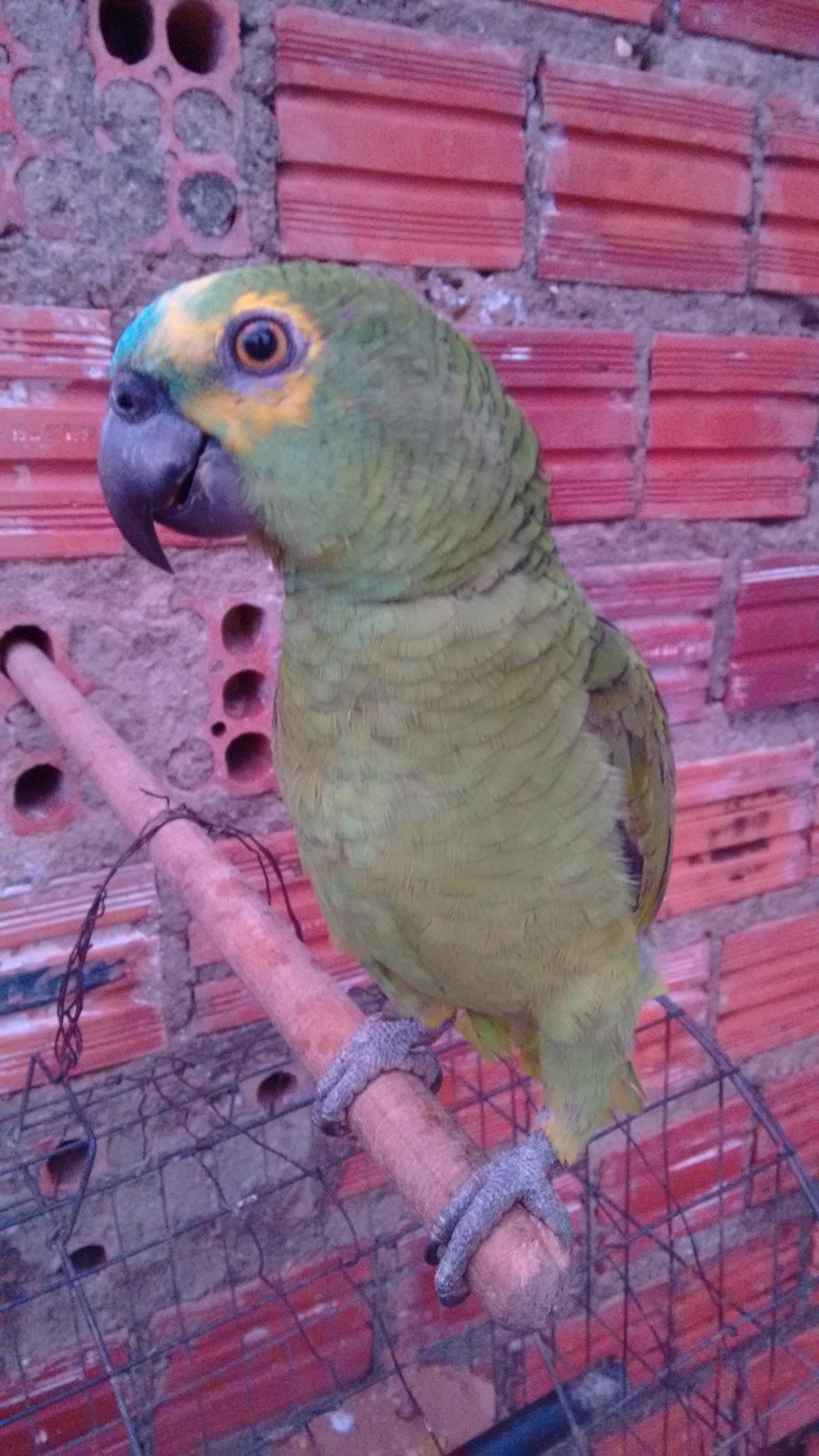 IMG_20170619_175151451 (Copy).jpg