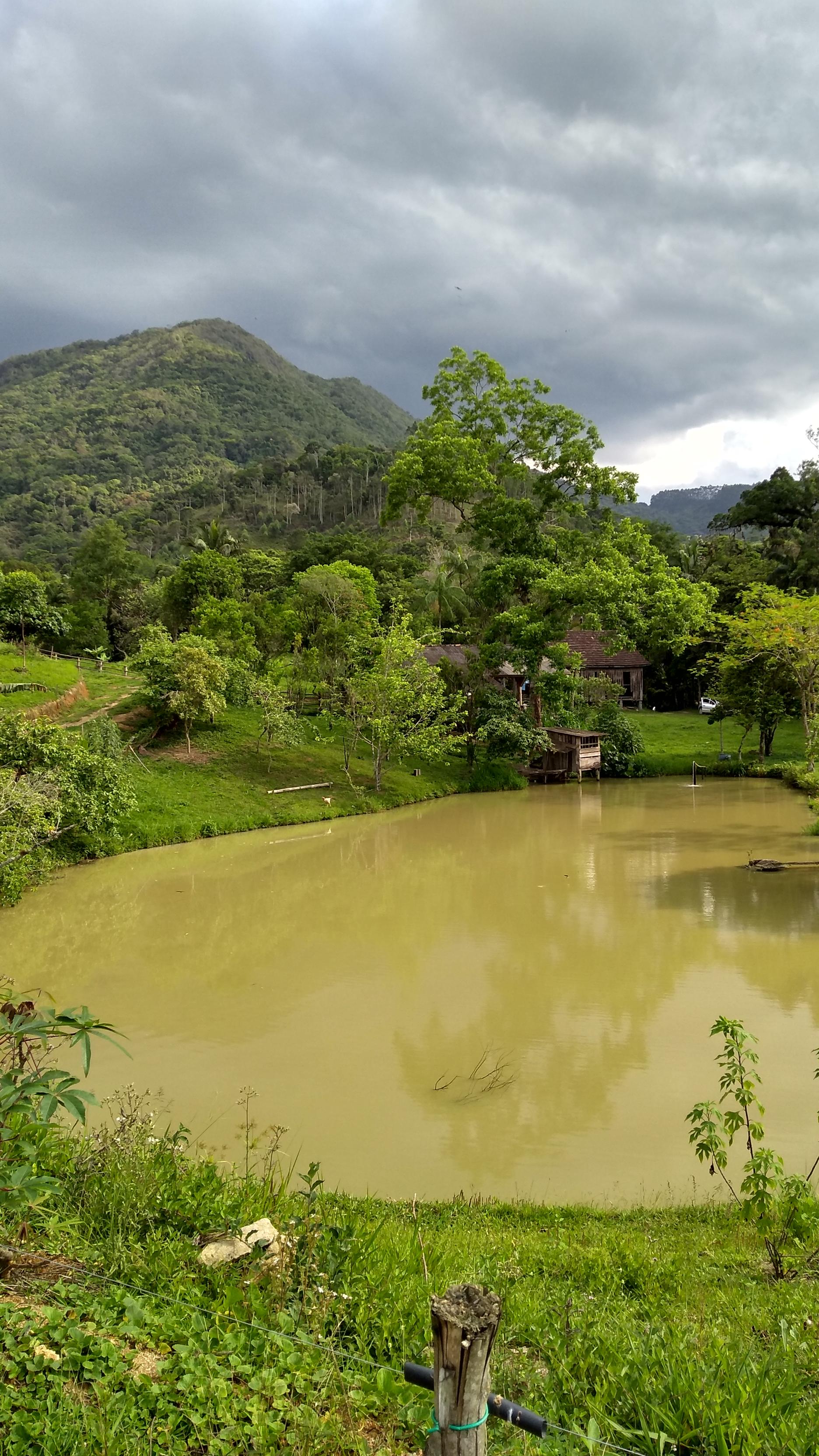 IMG_20191115_153156208_HDR (Copy).jpg