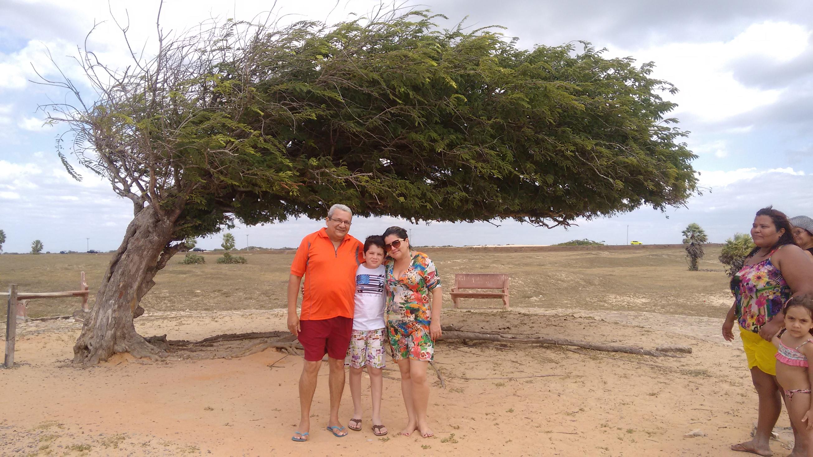 2016-07-16 14.03.50 (Copy).jpg