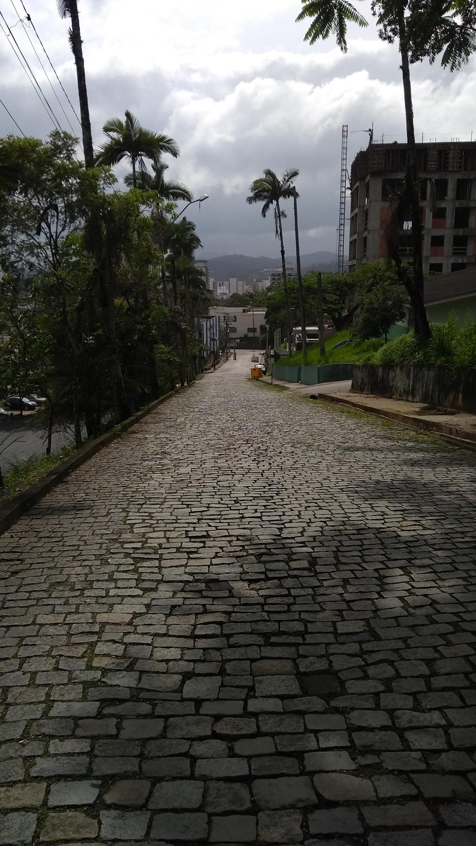 IMG_20191113_085602886 (Copy).jpg