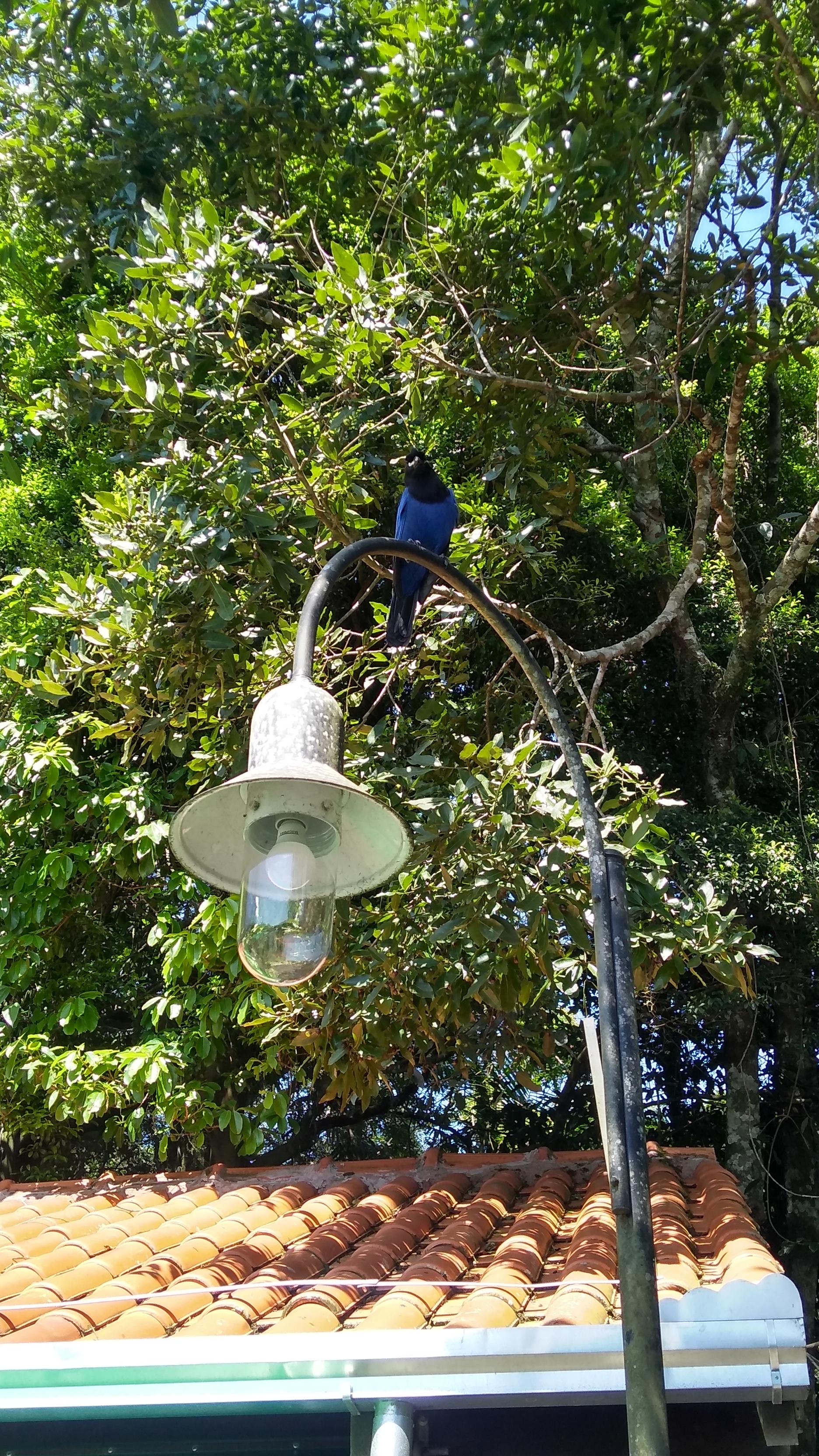 IMG_20191116_093833446_HDR (Copy).jpg