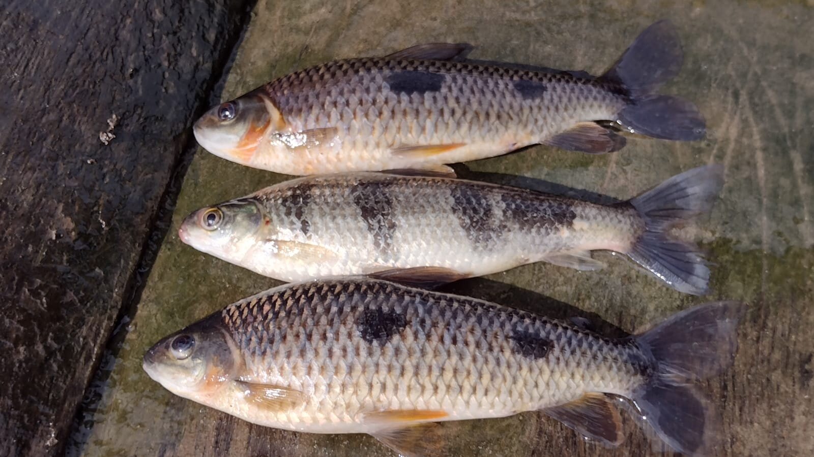 WhatsApp Image 2023-11-23 at 15.02.41.jpg