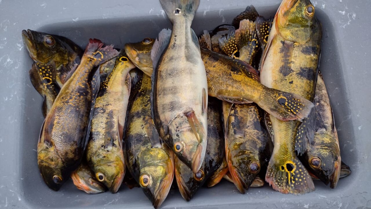 WhatsApp Image 2023-11-23 at 15.02.07.jpg