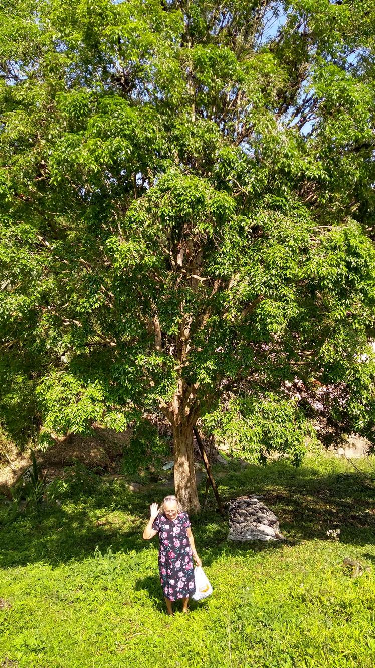 IMG_20191115_091035002_HDR (Copy) (Copy).jpg