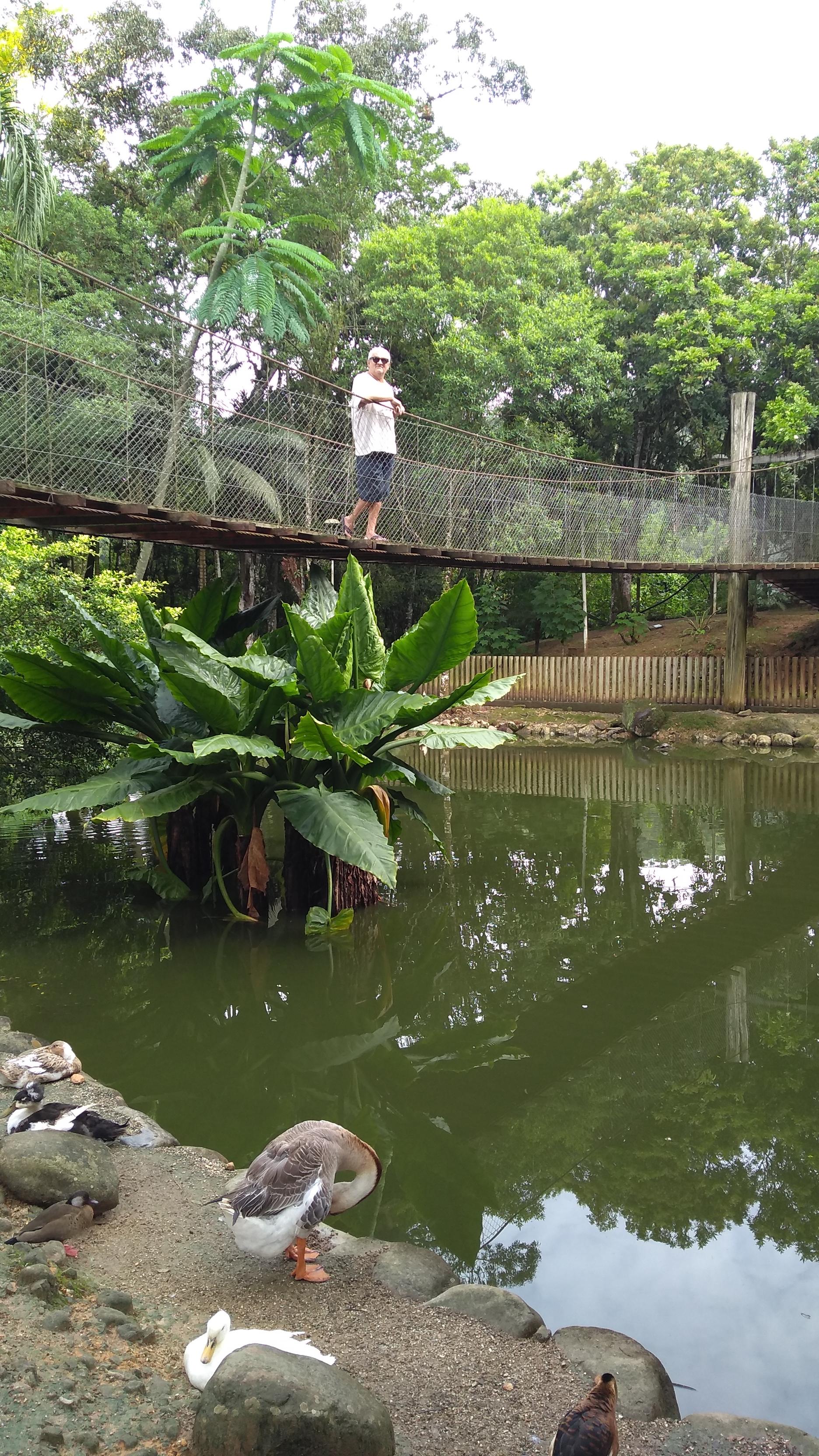 IMG_20191113_084637778 (Copy).jpg