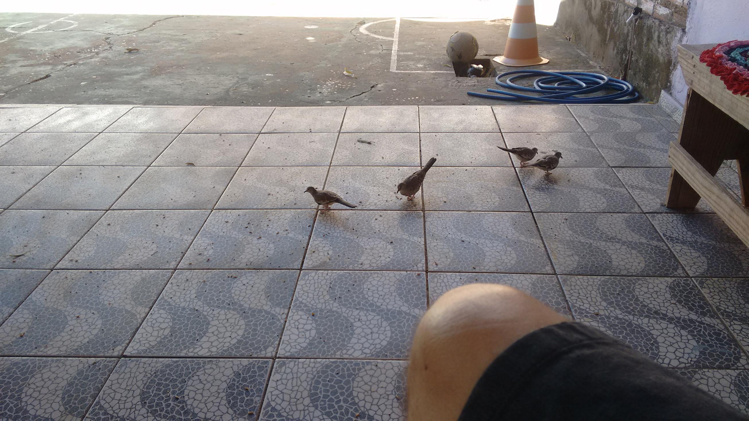 2016-07-22 09.18.26 (Copy).jpg