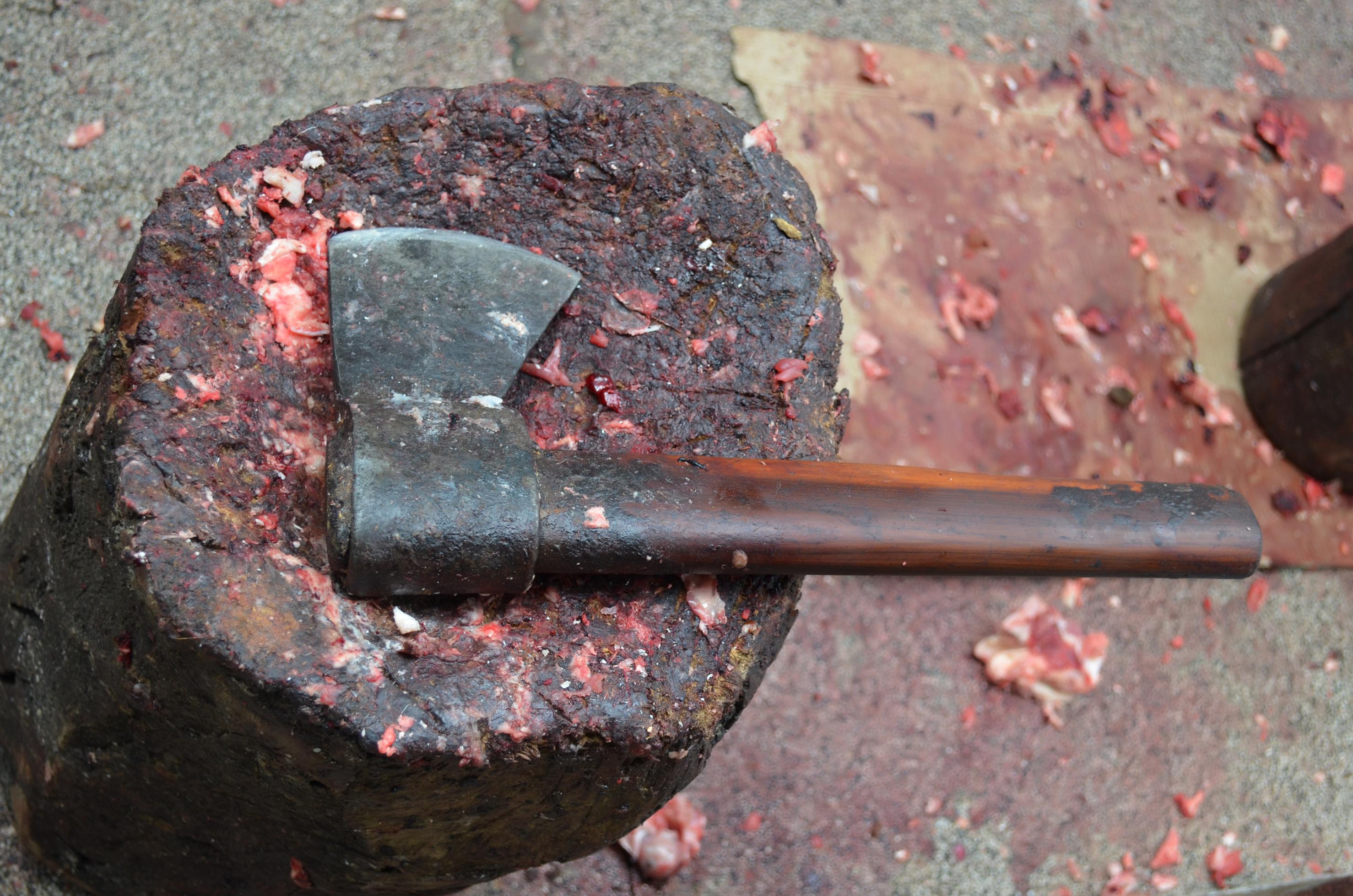 Imagem 0001 (40) (Copy).jpg